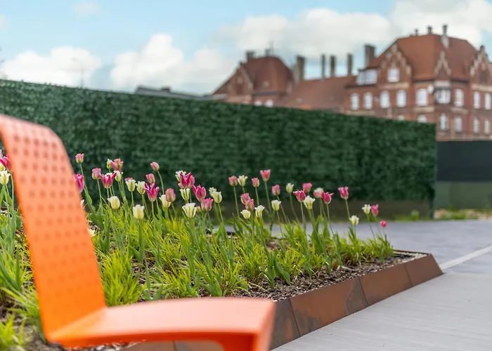 Driftwood غدانسك